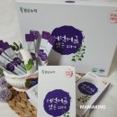 새롬트레이딩 이미지