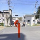 시락국수 | 안동 태화동 국수 전문점 율국수