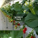 주몽농장 이미지