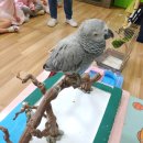 와우 동물농장 이미지