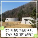 올라운드원3단지 | [공지] 강아지 동반 가능한 강원도 홍천 감성 숙소, 올라운드원 1라운드 후기