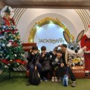 월성태권도장 이미지