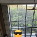 숲소리식당 | [부산]아난티 빌라쥬 복층 객실 후기: 숲소리는 좋았고, TV는 없었다.