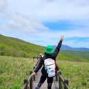 (주)제주로국제여행사 이미지