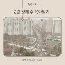 현스하우스 - 동해시 동굴로 2 | 2월 첫째 주 육아일기