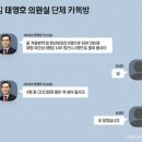 [단독] 태영호실의 '수상한' 청년보좌관…후원자 손녀에 지역 사업가 딸도 이미지