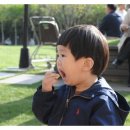 강마을공원 이미지