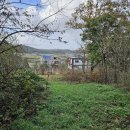 불은면-11 이미지