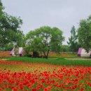 순천만국가정원 이미지