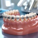 서울플란트치과교정과치과의원 이미지