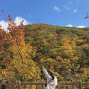 진부령미술관 | 강원도 여행 단풍 명소 드라이브 고성 진부령