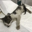 바람모퉁이어린이공원 이미지