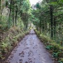 서호동-39 이미지