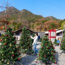 공주밧데리 | 충남 공주 펜션 숙소 감성 럭셔리 글램핑 준비물 리스트