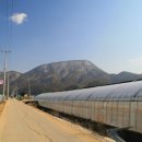 원덕리도 이미지