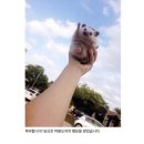 예준