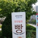 퀸타일아저씨