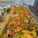 KBS만남의광장 이미지