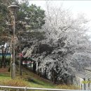 남한산성(은행동-성곽일주-황송공원)을 다녀와서 13.04.21 이미지