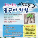 와이드 농장 이미지