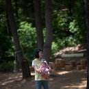 죽전유아숲체험원 티스토리