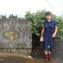 무릉도원올레 이미지