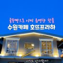 호뜨프라하 이미지