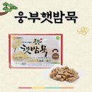 웅부푸디스
