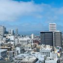 Luxury Dog | 샌트럴 샌프란시스코(하얏트리젠시 SF Downtown SOMA) | W 샌프란시스코 | 그랜드 하얏트 앳 SFO 숙박 후기