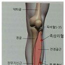 3월 26일 금요건강모임 이미지