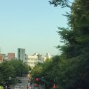 빽찐라면 | <내돈내산> 백종원 골목식당 빽찐라면 솔직 후기
