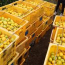 동서농장 이미지