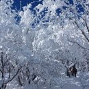 충일목장 이미지