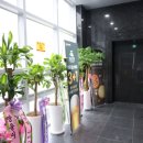 이글스크린골프존 이미지