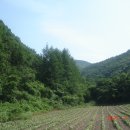 소녀농장 이미지