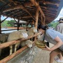 홍이목장 이미지