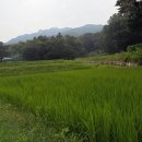 무수골마을입구 이미지