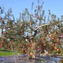 김종호농장 이미지