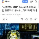 "시바견도 깜놀" 도지코인, 비트코인 오르자 113%↑… 어디까지 가나 이미지