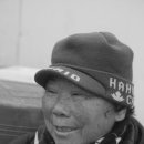 보성장 이미지