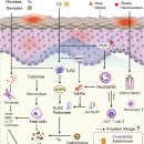 화접몽한의원 이미지