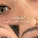 래쉬 유