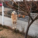 판포따숨 이미지