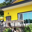 장태산 노랑펜션 이미지