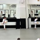 다원태권도장 이미지