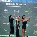 ELITE KOREA(엘리트 코리아)