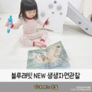 효자전집