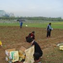 초지농장 이미지