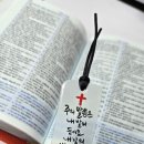 캘리그라피 슈링클스 책갈피 만들기 이미지