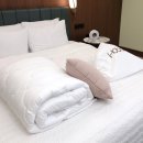 휴본 | <종료>[휴본 구름이불 OPEN]프랑스 프리미엄 듀벳을 68%의 할인으로 만나 보세요 :)인생 이불입니다❤️